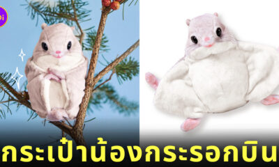 กระเป๋าน้องกระรอกบิน ญี่ปุ่น
