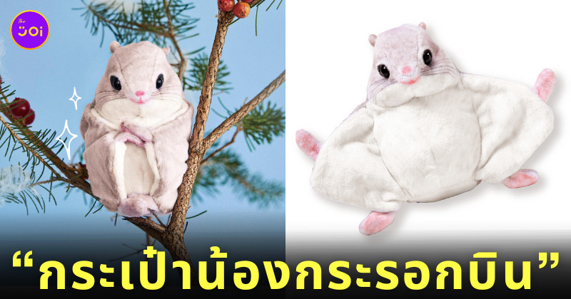 กระเป๋าน้องกระรอกบิน ญี่ปุ่น