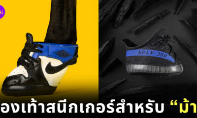 Horse Kicks รองเท้าสนีกเกอร์ม้า