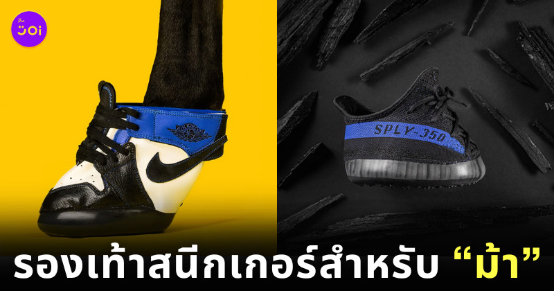 Horse Kicks รองเท้าสนีกเกอร์ม้า