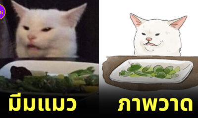 ภาพวาดมีมแมวสุดคิวท์ watercatlor