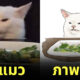 ภาพวาดมีมแมวสุดคิวท์ watercatlor