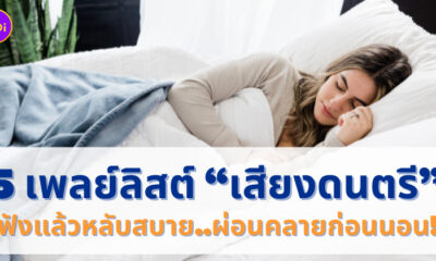 เสียงดนตรีผ่อนคลาย ฟังแล้วหลับสบาย youtube