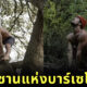 ทาร์ซานแห่งบาร์เซโลนา
