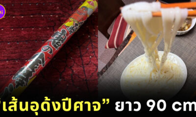 เส้นอุด้งปีศาจ ยาว 90 เซนติเมตร ญี่ปุ่น