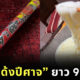 เส้นอุด้งปีศาจ ยาว 90 เซนติเมตร ญี่ปุ่น