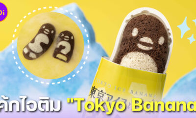 รู้ยัง โตเกียวบานาน่า มีเวอร์ชั่นไอศกรีมแล้วนะ! เรียกว่า Tokyo Ice Banana Banass