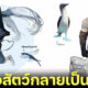 สุดล้ำ! ศิลปินดิจิทัลเกาหลี Rinotuna เปลี่ยน สัตว์ให้กลายเป็นคน บอกเลยว่า ปังมากพี่นัท!