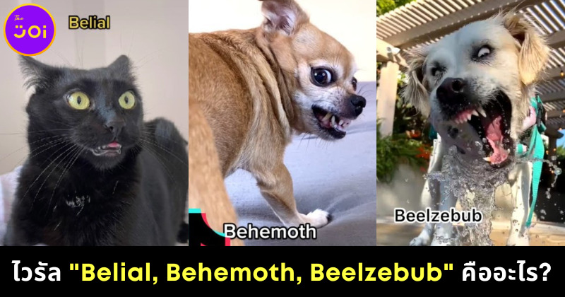 ไวรัล TikTok Belial, Behemoth, Beelzebub คืออะไร ทำไมมีแต่ภาพสัตว์เลี้ยงเกรี้ยวกราดแทนปีศาจ