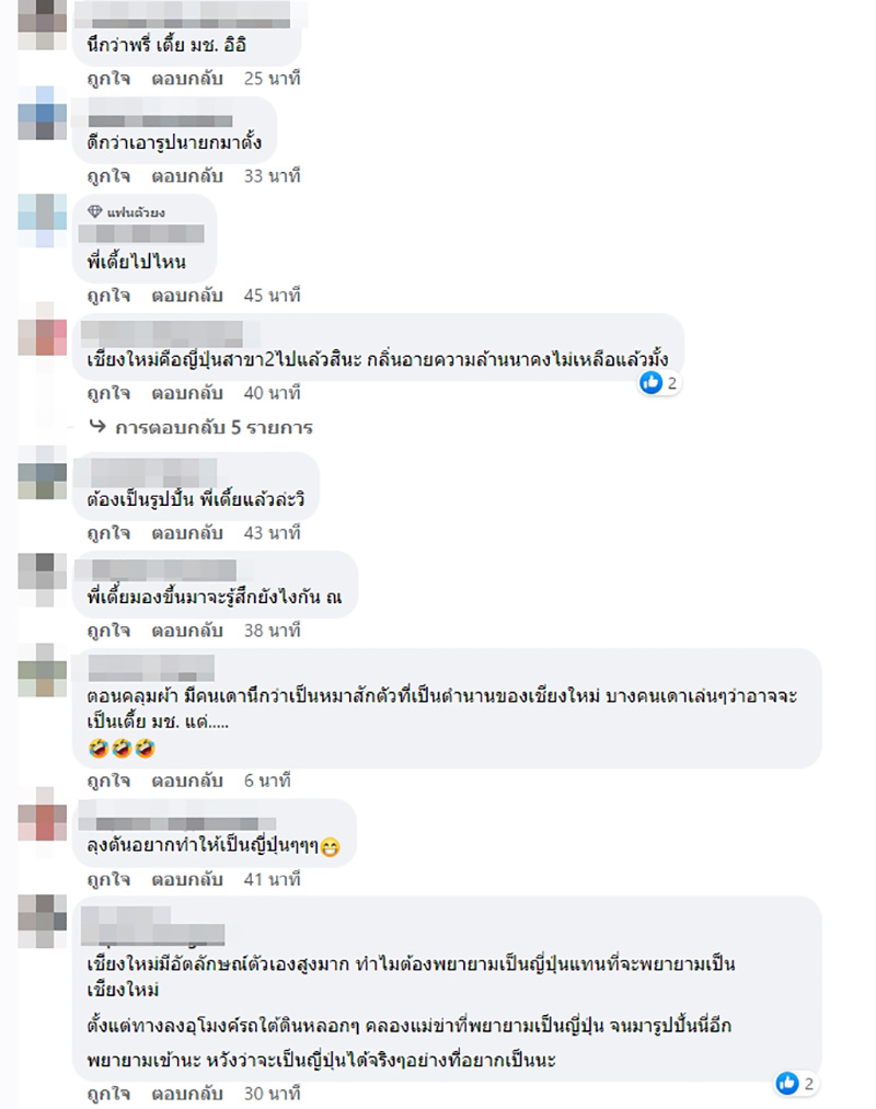 ความเห็นชาวเน็ต ฮาจิโกะเชียงใหม่