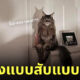 Fleem Template The Joi FBWebsite 12
