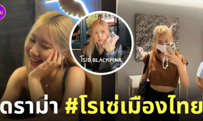 แพรพลอย โรเซ่เมืองไทย