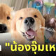 Fleem Template The Joi FBWebsite 3 11