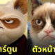 สัตว์หน้าเหมือนการ์ตูน