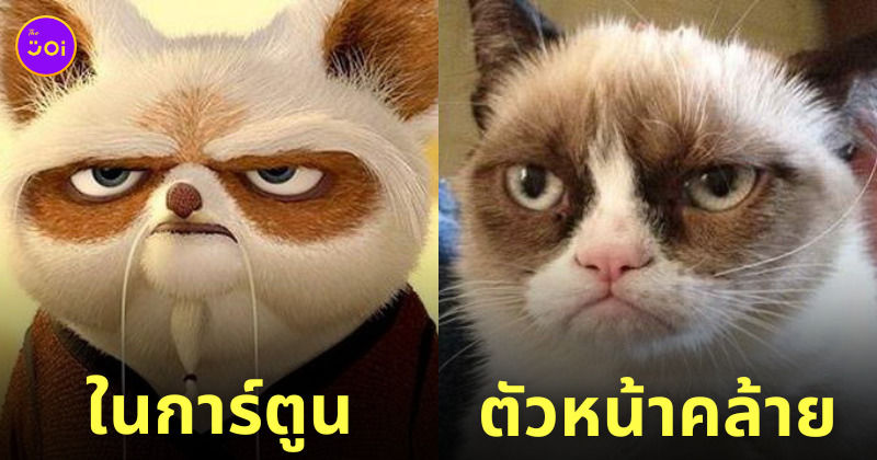 สัตว์หน้าเหมือนการ์ตูน