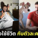 Fleem Template The Joi FBWebsite 3 7