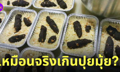 ขนมทรายแมว ขนมเค้กอึแมว