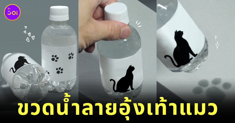 ขวดน้ำเท้าแมว