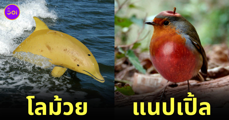 ภาพสัตว์ทุกชนิดผสมเข้ากับพืชผักผลไม้