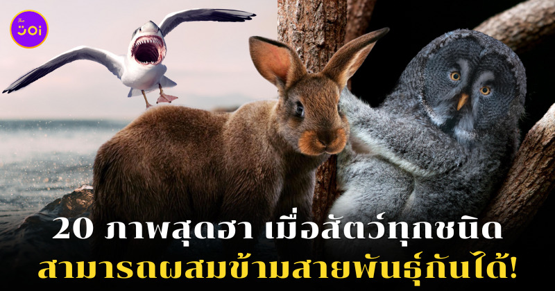 ภาพสัตว์ผสมข้ามสายพันธุ์