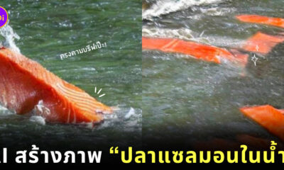 AI สร้างภาพปลาแซลมอนในน้ำ