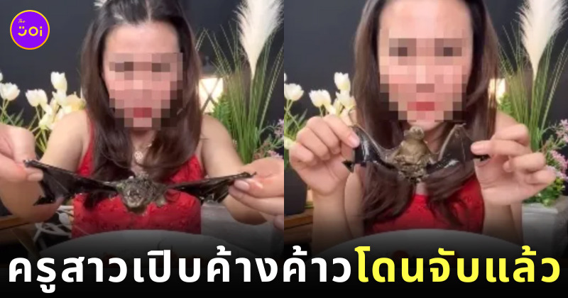 ครูสาวกินยำค้างคาวโดนจับ