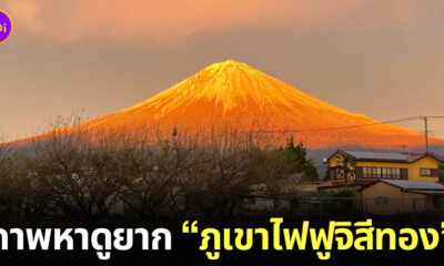 ภูเขาไฟฟูจิสีทอง