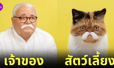 ภาพสัตว์เลี้ยงหน้าเหมือนเจ้าของ