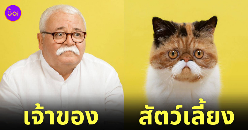 ภาพสัตว์เลี้ยงหน้าเหมือนเจ้าของ