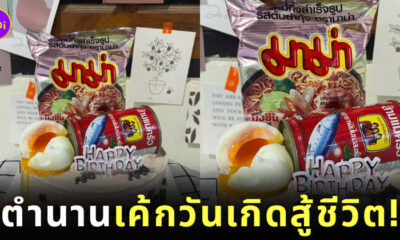 เค้กสู้ชีวิต เค้กมาม่าปลากระป๋อง