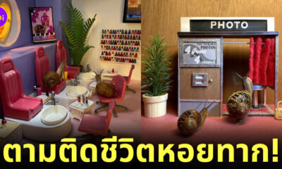 หอยทาก จำลองใช้ชีวิตแบบมนุษย์