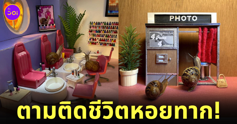 หอยทาก จำลองใช้ชีวิตแบบมนุษย์