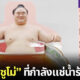 สินค้า ชานักซูโม่ ญี่ปุ่น
