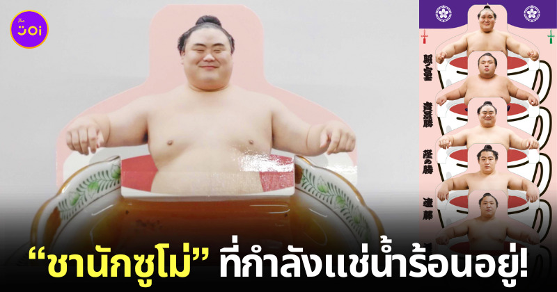 สินค้า ชานักซูโม่ ญี่ปุ่น