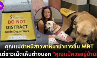 คดีพลิก! คุณแม่บ่นลงโซเชียลกลัวหมานำทางบนรถไฟมากัดลูก แต่ชาวเน็ตมองว่า “คุณแม่ควรอยู่บ้าน”