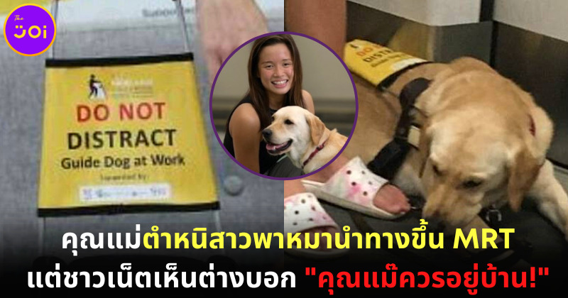 คดีพลิก! คุณแม่บ่นลงโซเชียลกลัวหมานำทางบนรถไฟมากัดลูก แต่ชาวเน็ตมองว่า “คุณแม่ควรอยู่บ้าน”