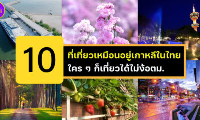 เช็คอิน 10 ที่เที่ยวเหมือนอยู่เกาหลีเกาใจในประเทศไทย ใคร ๆ ก็เที่ยวได้ไม่ง้อตม.