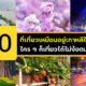 เช็คอิน 10 ที่เที่ยวเหมือนอยู่เกาหลีเกาใจในประเทศไทย ใคร ๆ ก็เที่ยวได้ไม่ง้อตม.