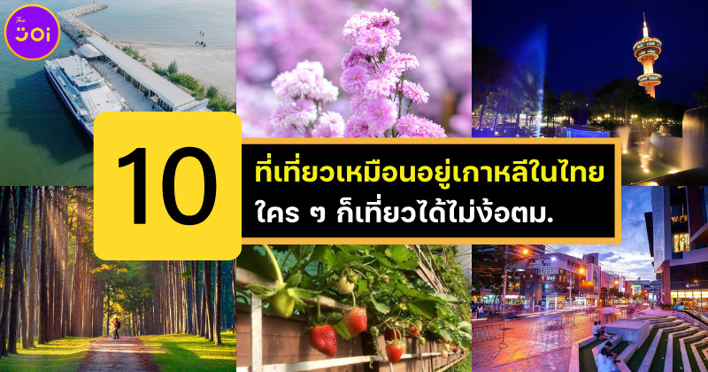 เช็คอิน 10 ที่เที่ยวเหมือนอยู่เกาหลีเกาใจในประเทศไทย ใคร ๆ ก็เที่ยวได้ไม่ง้อตม.