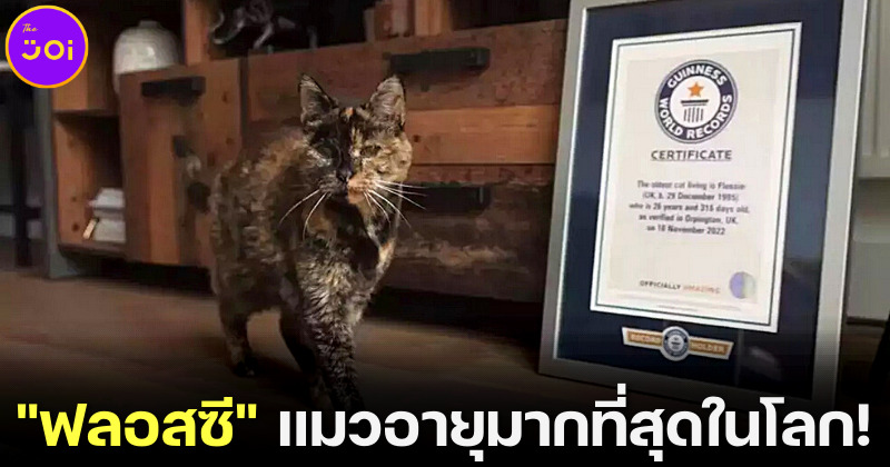 "น้องฟลอสซี (Flossi)" จากแมวจรสู่เจ้าของสถิติโลก "แมวอายุมากที่สุดในโลกที่ยังมีชีวิตอยู่"