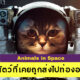 รู้แล้วอึ้ง! เผย 10 สัตว์ที่เคยถูกส่งไปท่องอวกาศ ไม่ได้มีแค่หมากับลิง!