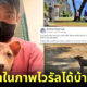 โซเชียลชื่นชมหนุ่มฟิลิปปินส์รับเลี้ยงลูกหมาผอมโซแอบมองหมามีเจ้าของในภาพไวรัลที่ตัวเองถ่ายไว้