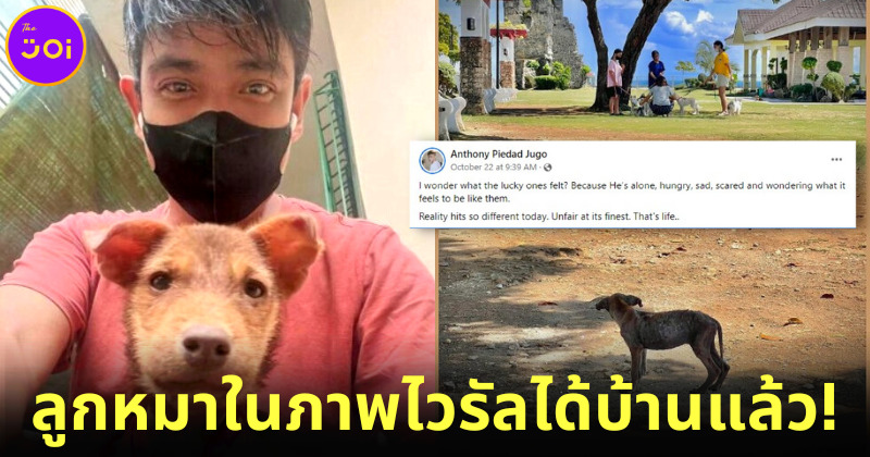 โซเชียลชื่นชมหนุ่มฟิลิปปินส์รับเลี้ยงลูกหมาผอมโซแอบมองหมามีเจ้าของในภาพไวรัลที่ตัวเองถ่ายไว้