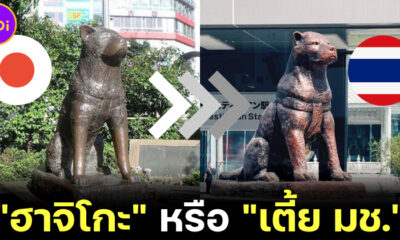 ชาวเน็ตงง! รูปปั้นฮาจิโกะ โผล่กลางเมืองเชียงใหม่ ก่อนแห่แซวนึกว่า เตี้ย มช.