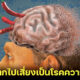 E9FC99F7 E4F7 44E2 BFDB 97362FC7862D