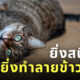 Fleem Template The Joi FBWebsite 2 6