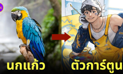 ภาพสิ่งต่าง ๆ กลายเป็นตัวการ์ตูน