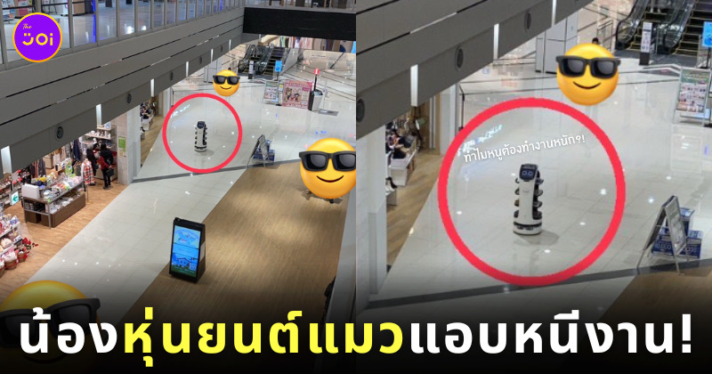 หุ่นยนต์แมวเสิร์ฟอาหาร