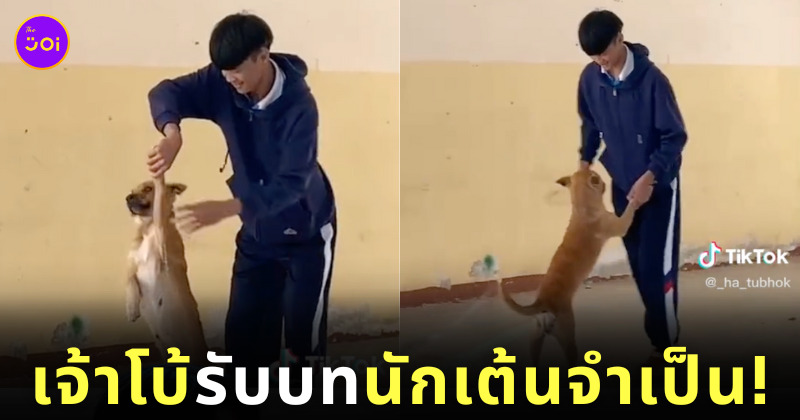 จับคู่กับหมาในโรงเรียนเต้นลีลาศ