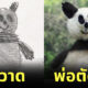 ภาพวาดสัตว์โลกของลูกถูกตัดต่อใหม่โดยคุณพ่อ thingsihavedrawn